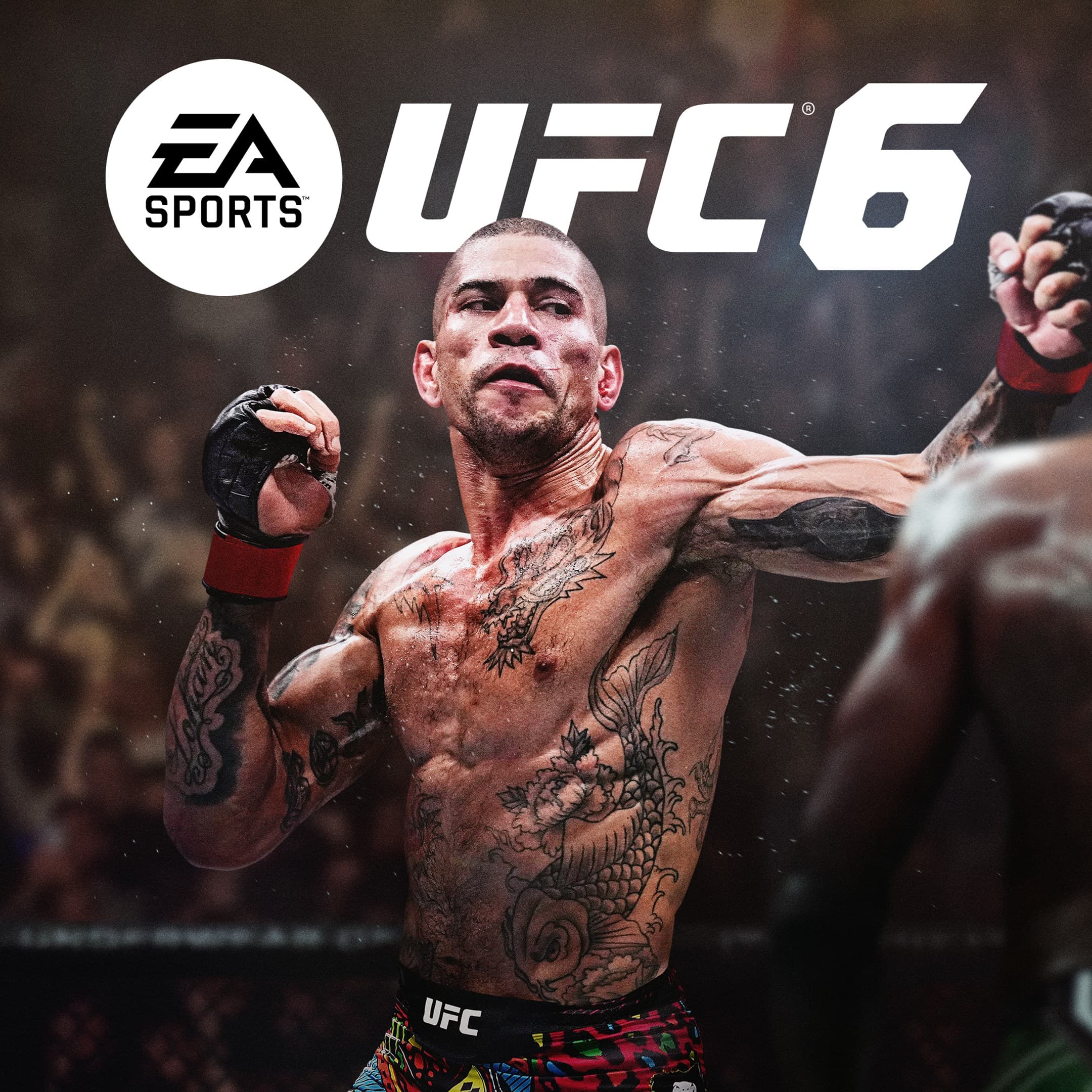 UFC 6